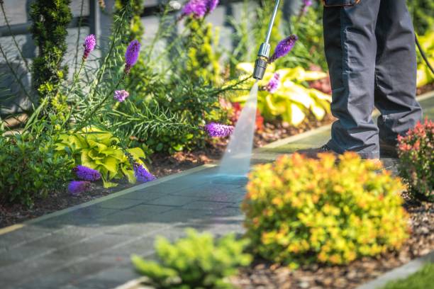 Trusted Edgemoor, DE Pressure Washing Services Experts