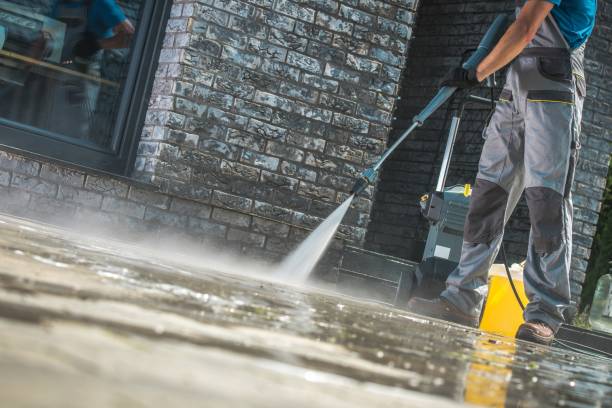 Best Gutter Cleaning  in Edgemoor, DE